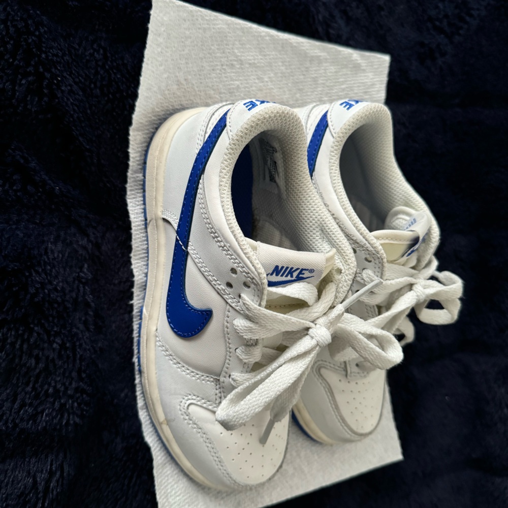 Off White Nike Dunks